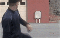 各种弧度都行，看你怕不怕体育gif搞笑图片