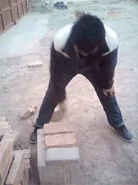 这才是真正的单手劈砖体育gif搞笑图片