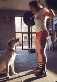 认真锻炼，本汪给你奖励体育gif搞笑图片