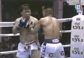 什么叫灵活的胖纸，点满了闪避天赋果然不一样体育gif搞笑图片