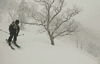 不好意思，我飞的有点低了体育gif搞笑图片