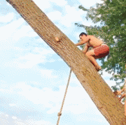 这就是命体育gif搞笑图片