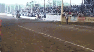 一直以为只有在动画片里才能看到这样的场景……体育gif搞笑图片