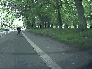 骑车不看路，脑子又在YY什么呢？体育gif搞笑图片