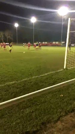 哎，鞋带怎么开了。哎，球怎么进了体育gif搞笑图片