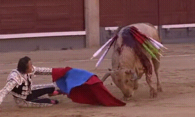 哎呀，看着都痛体育gif搞笑图片