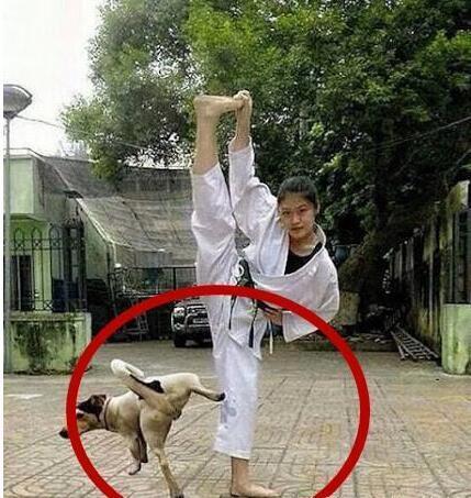 这到底是谁学谁呢？体育gif搞笑图片