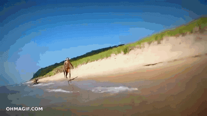 大海我来了！体育gif搞笑图片