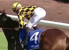 赛马前千万要把裤带子系紧喽体育gif搞笑图片