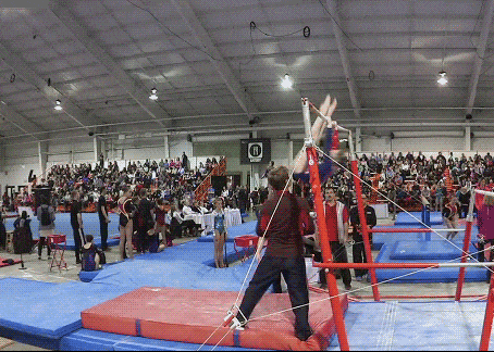 有这样的教练就安全了体育gif搞笑图片