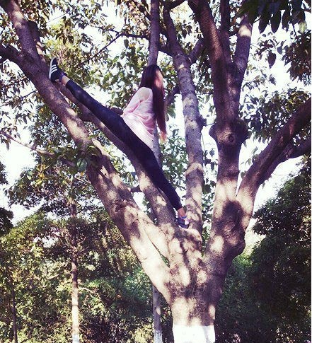 陆地已经满足不了你了么体育gif搞笑图片