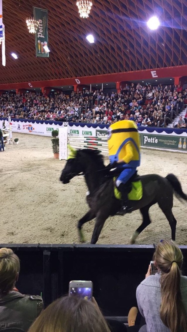 下面出场的选手是，呃体育gif搞笑图片