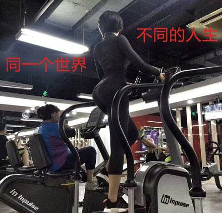 区别啊体育gif搞笑图片