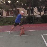 这个陪练很专业哦体育gif搞笑图片