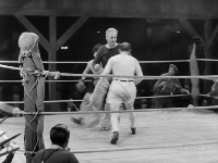 神一般的智商压制体育gif搞笑图片