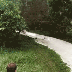 传说中的5杀体育gif搞笑图片