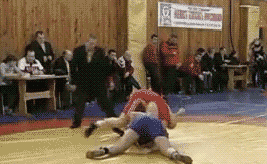 摔跤裁判也不是吃素的体育gif搞笑图片