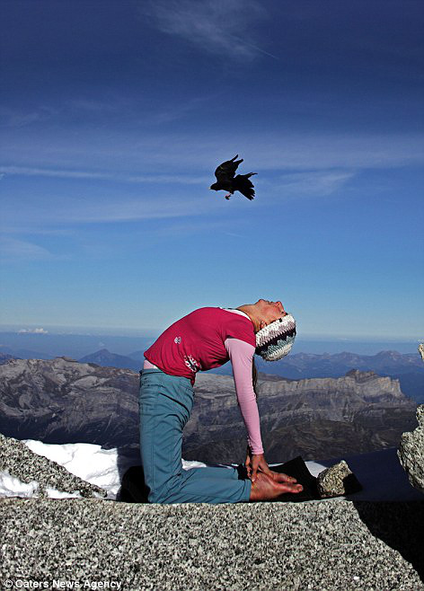 斯洛文尼亚女登山者勃朗峰练瑜伽体育gif搞笑图片