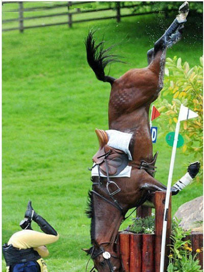 有个成语叫《人仰马翻》，我觉得这成。。。体育gif搞笑图片