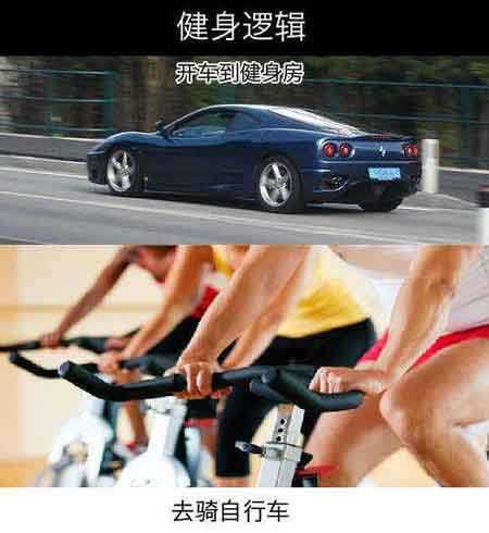 健身逻辑体育gif搞笑图片