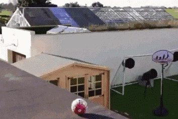 球：“我发誓，真的和我没关系”体育gif搞笑图片