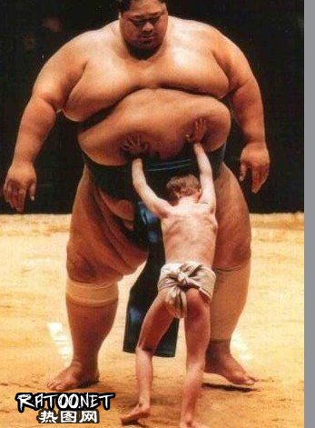日本相扑搞笑图体育gif搞笑图片