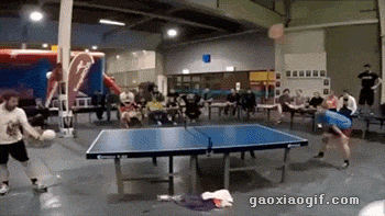 神仙打架凡人观战体育gif搞笑图片