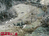 装逼招雷劈，说的就是他这样体育gif搞笑图片