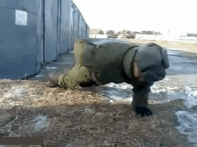 不用手也能做俯卧撑，你咋不上天呢体育gif搞笑图片