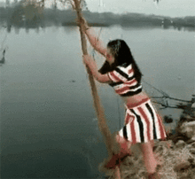 这棵树承受不了你的重量体育gif搞笑图片