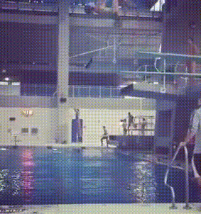 空中的姿势很优美，入水是很惨体育gif搞笑图片