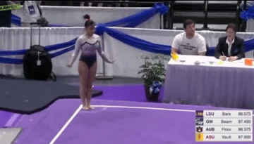 体育比赛意外的动图体育gif搞笑图片