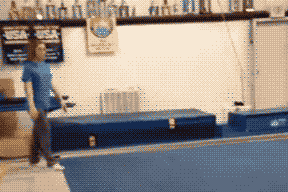 我最后一下是故意的你信不体育gif搞笑图片