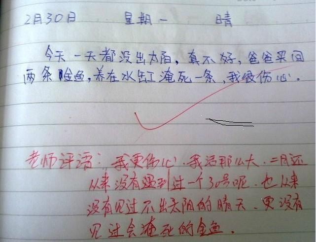 2月30号的日记综合gif搞笑图片