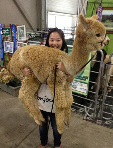 草泥马，这个完全萌翻了好吗！综合gif搞笑图片