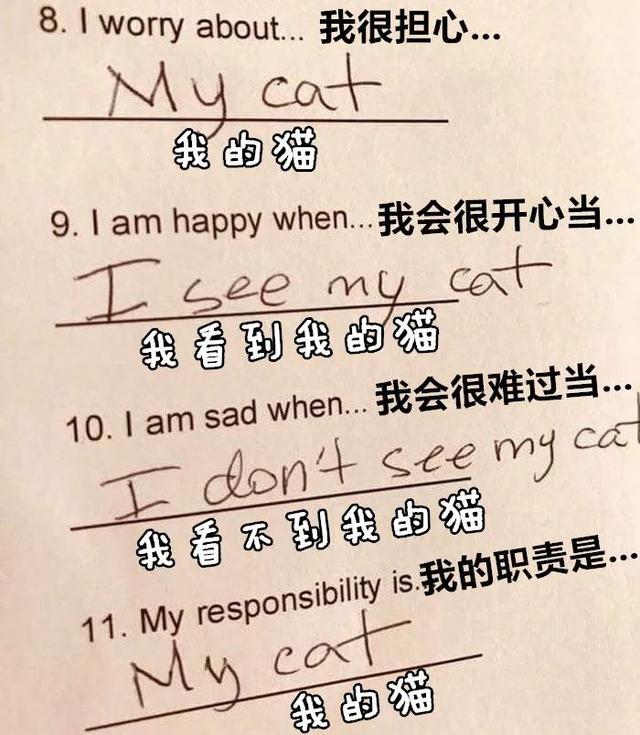 一位同学交的作业，是一位很有责任感很合格的猫奴了综合gif搞笑图片