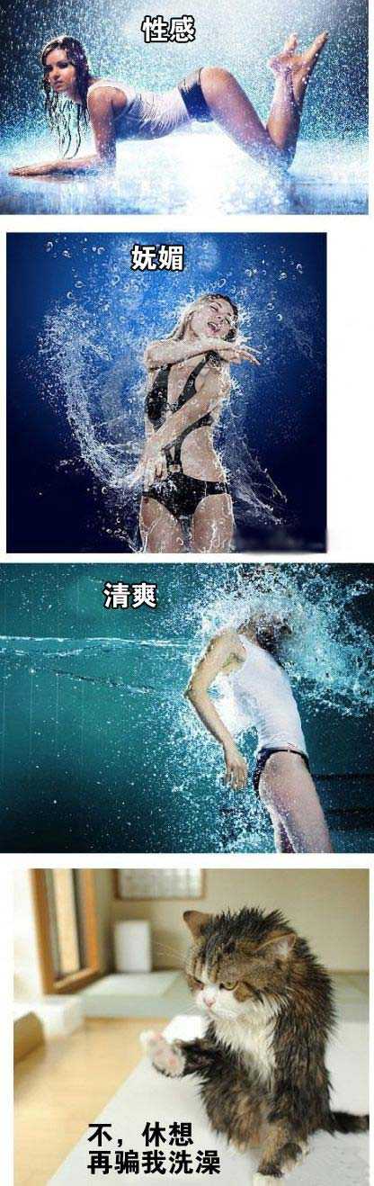 性感。。。妩媚。。。清爽。。。以后休想骗我洗澡综合gif搞笑图片