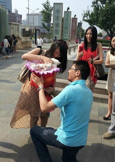 最新求婚神器！！！ 一束猫！综合gif搞笑图片