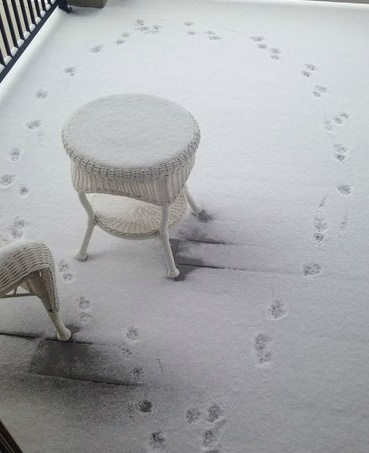 单身狗的抉择综合gif搞笑图片