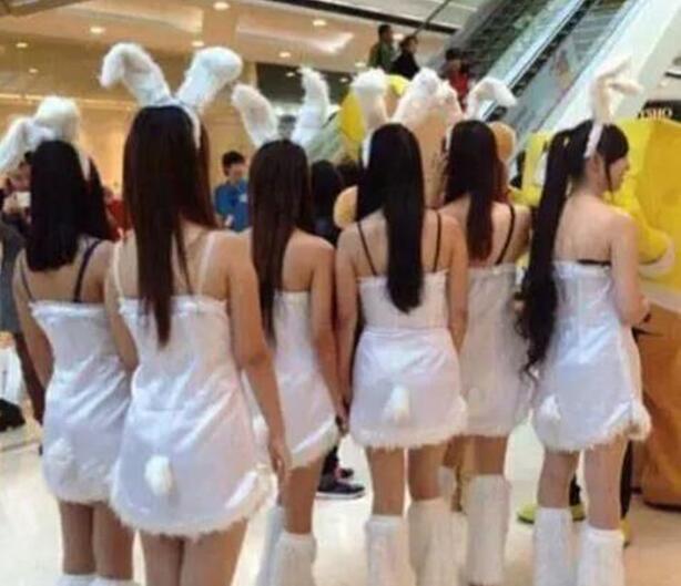 小兔子聚会吗？这么可爱想领回家一个吗综合gif搞笑图片