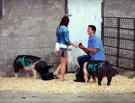 求婚就要有自己的独特方式！综合gif搞笑图片