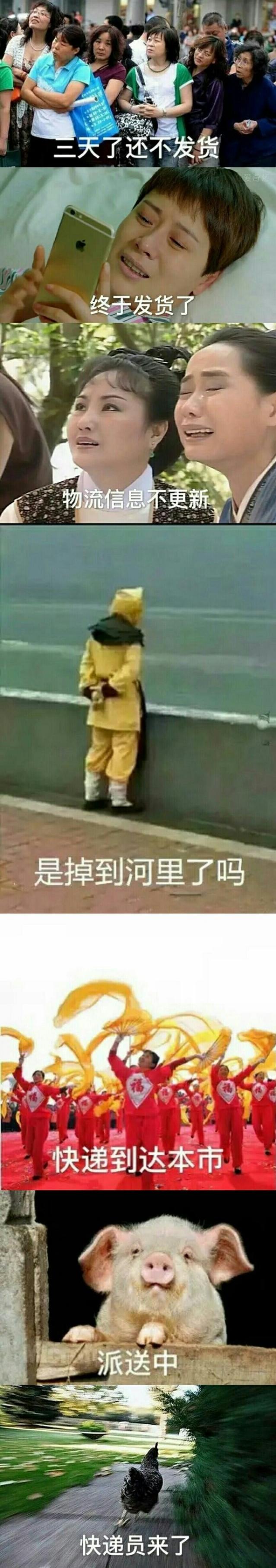 翘首以盼，就盼望着那个熟悉的身影综合gif搞笑图片