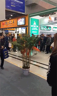 大师兄的出场方式果然不一样综合gif搞笑图片