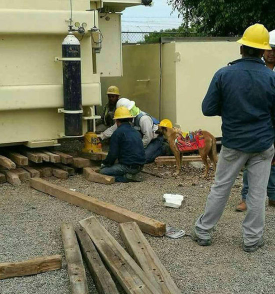 安全生产，重于泰山综合gif搞笑图片