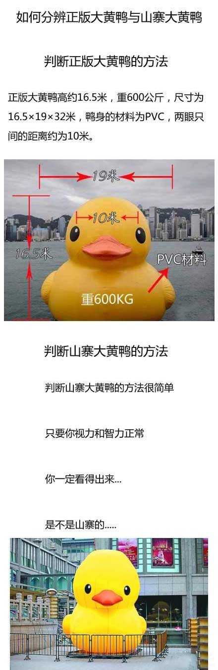 如何分辨正版大黄鸭与山寨大黄鸭综合gif搞笑图片