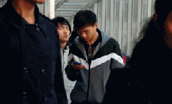 你是不是傻综合gif搞笑图片