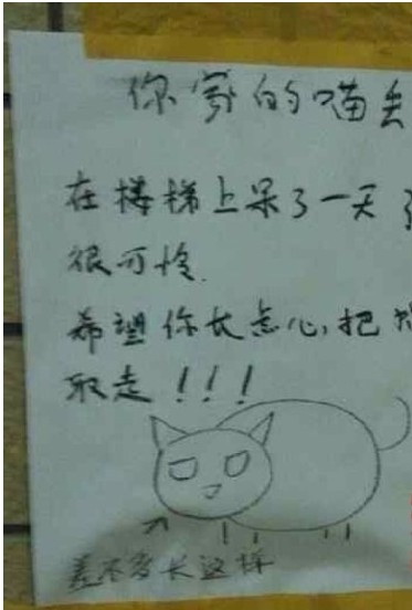 可爱的张贴。。。综合gif搞笑图片