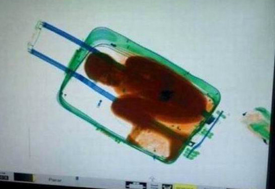 当你穷到没钱旅游时综合gif搞笑图片