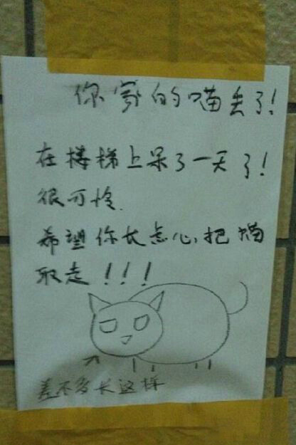 灵魂画师，估计这猫主人应该找不到综合gif搞笑图片