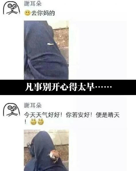 鸟：看你这么开桑，给你加点菜综合gif搞笑图片